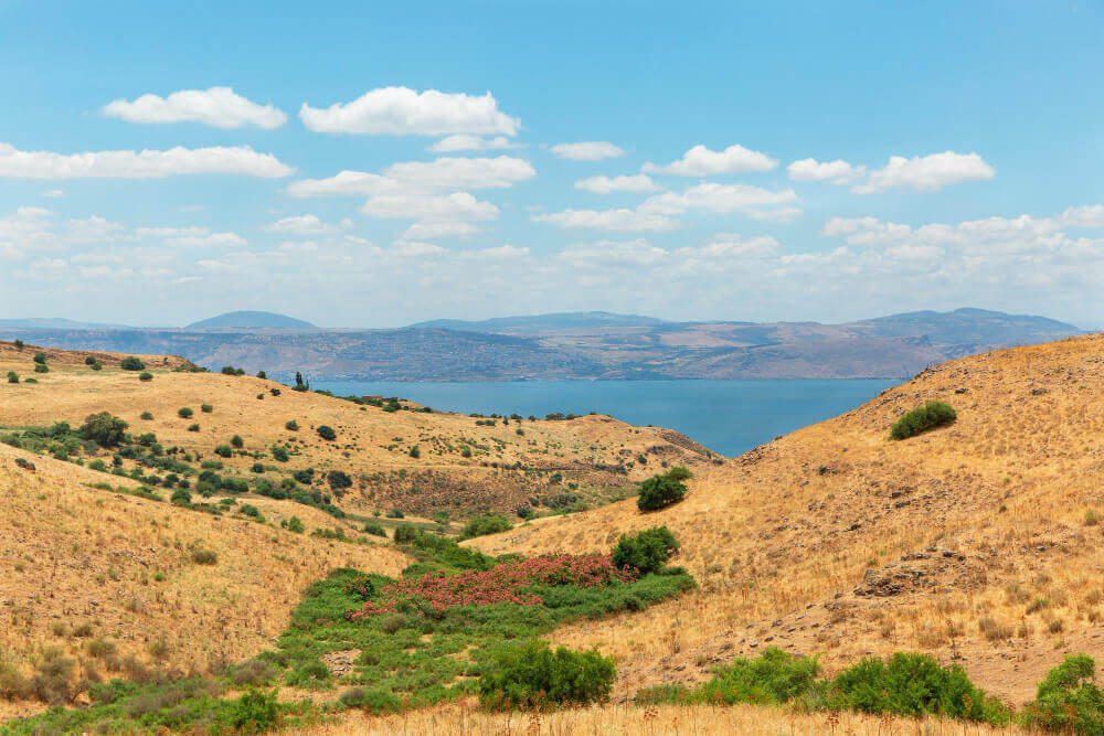 טיול בצפון ללא הליכה